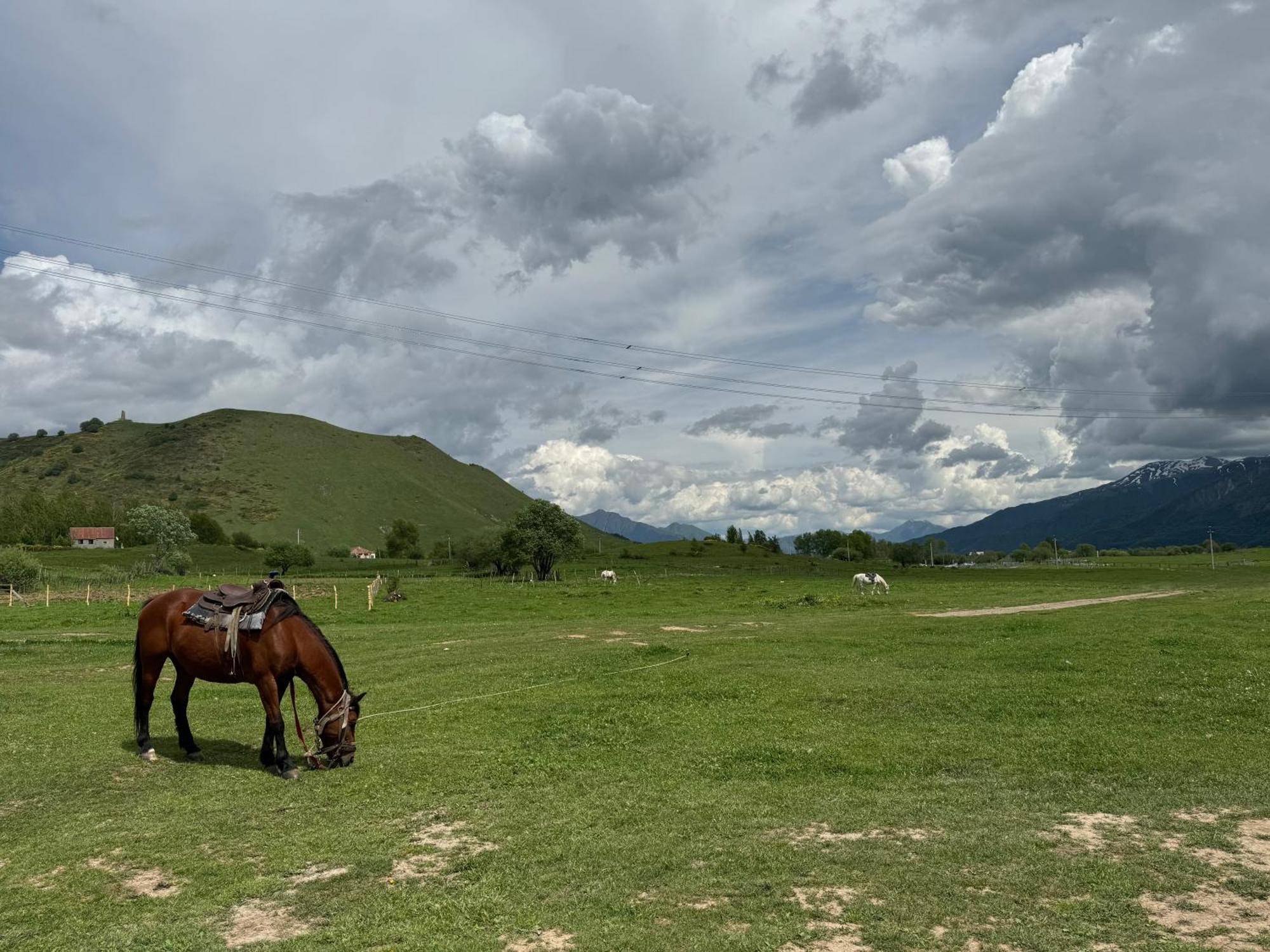 Gogi Resort Gudauri Kültér fotó