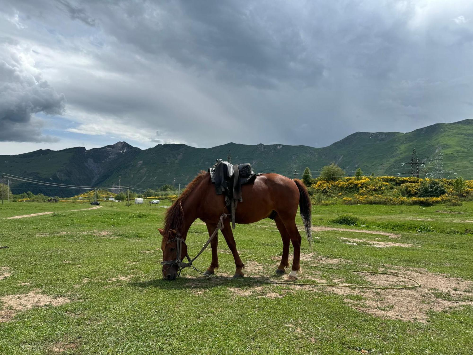 Gogi Resort Gudauri Kültér fotó